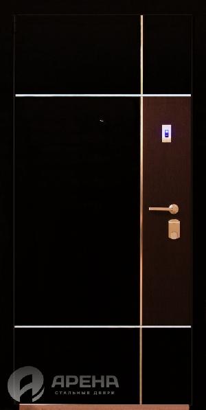 Дверь ARENA Black Line-Bio